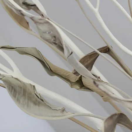 Armony 3* Misano Adriatico