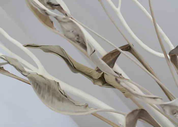 Armony 3* Misano Adriatico